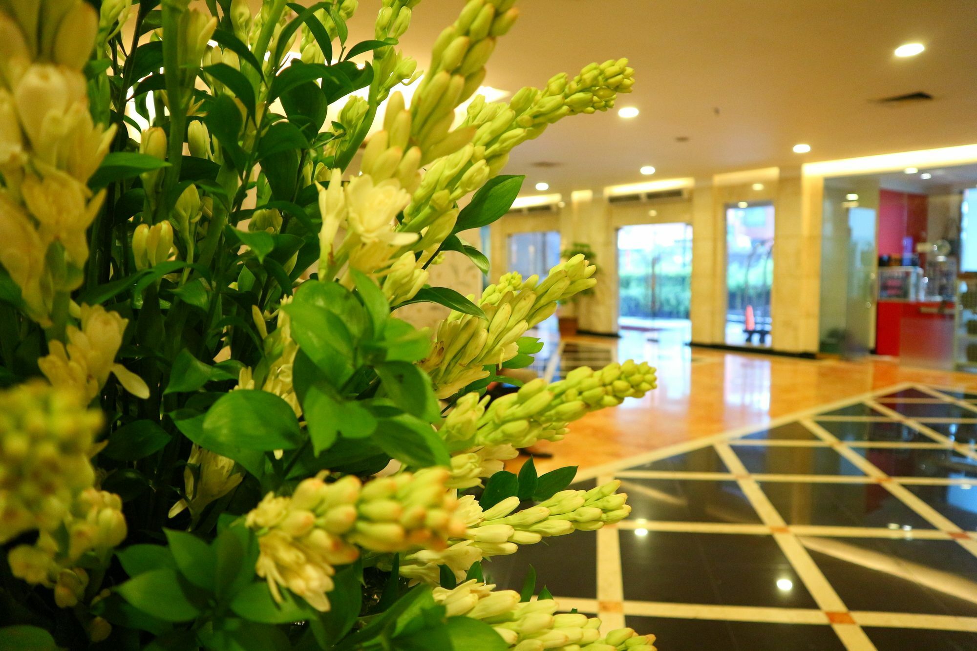 Hotel Horison Arcadia Mangga Dua Jakarta Exterior foto